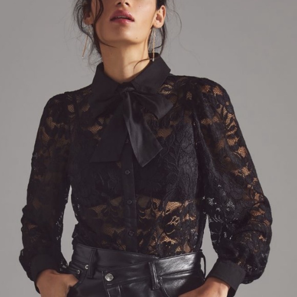 HTF Anthropologie Sheer Lace Blouse - Picture 3 of 6